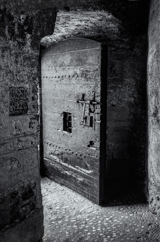 Escape - Andi Shapiro